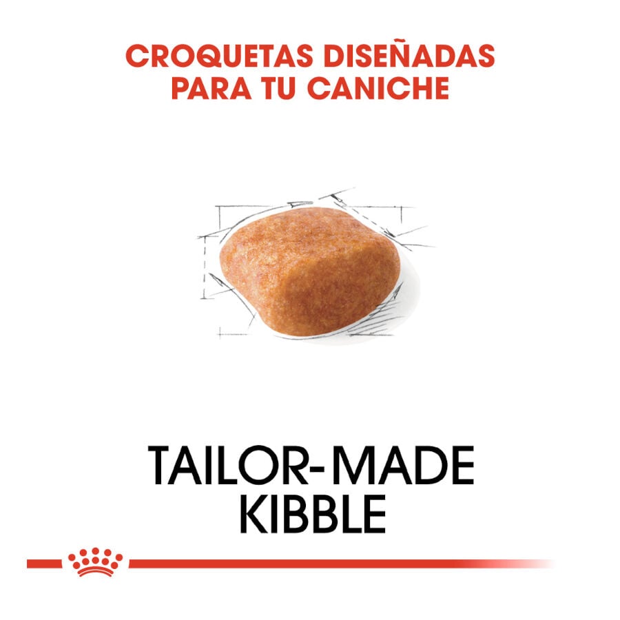 7.5 kg Royal Canin Adult Poodle pienso para perros, , large Imagen numero 5